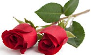 OU Positive Jewish Marriage