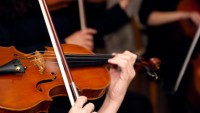 Violinist