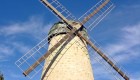 Wind in the Sails