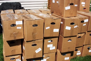 Approximately 250 boxes of clothing were shipped to Israel.