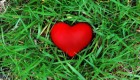From Pesach to Shavuos – The Journey from Love to Relationship