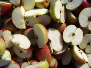 apples cut