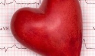 Heart