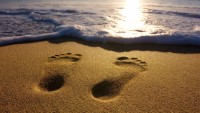 iStock_000003869273Small (1)
