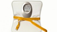 iStock_000008601462XSmall