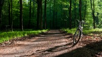 iStock_000020205153Small