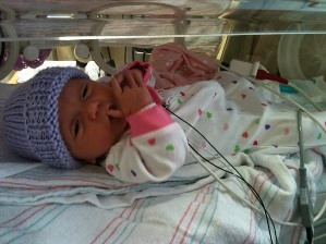 Dassy in her incubator.