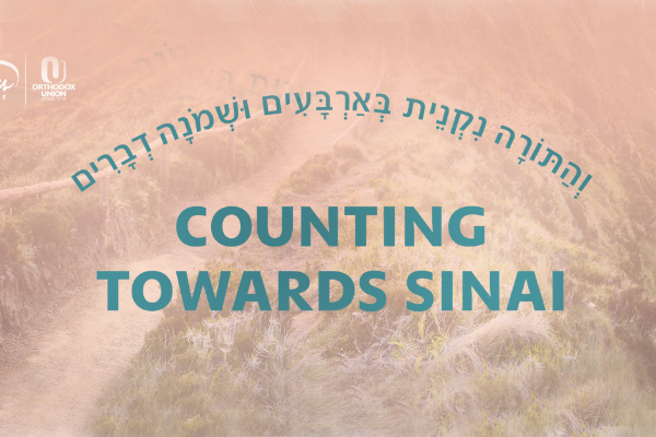 Counting Towards Sinai