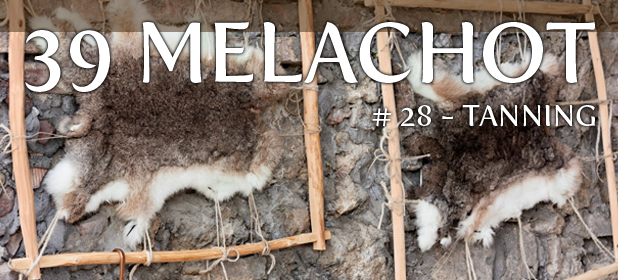 Melacha #28 – M’abeid (Tanning)