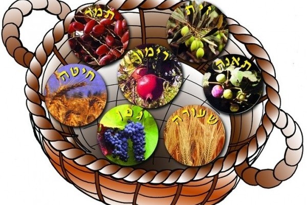 Bringing the First Fruit