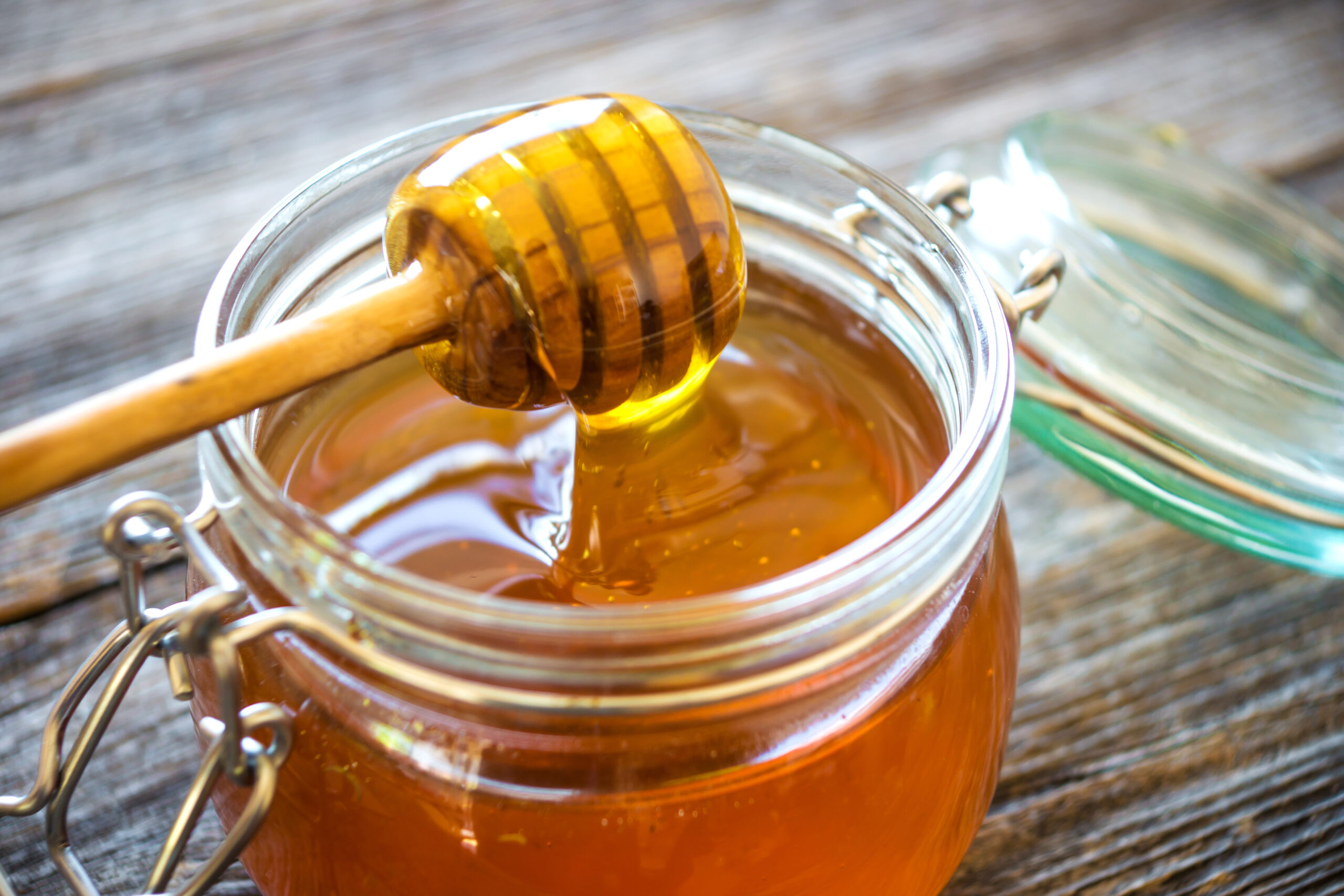 Torah: The Power of Honey