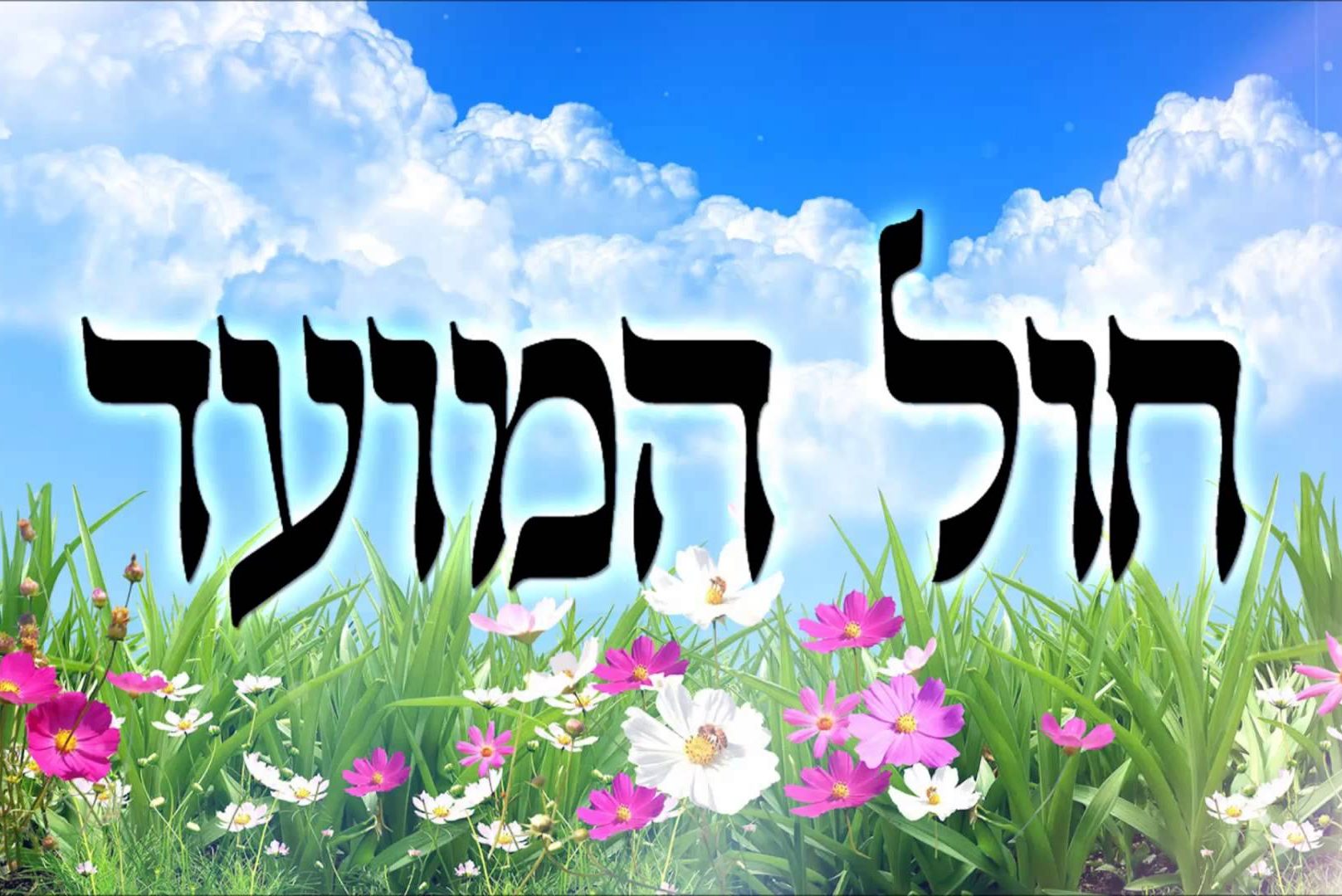 Shabbat Chol Hamoed Jewish Holidays