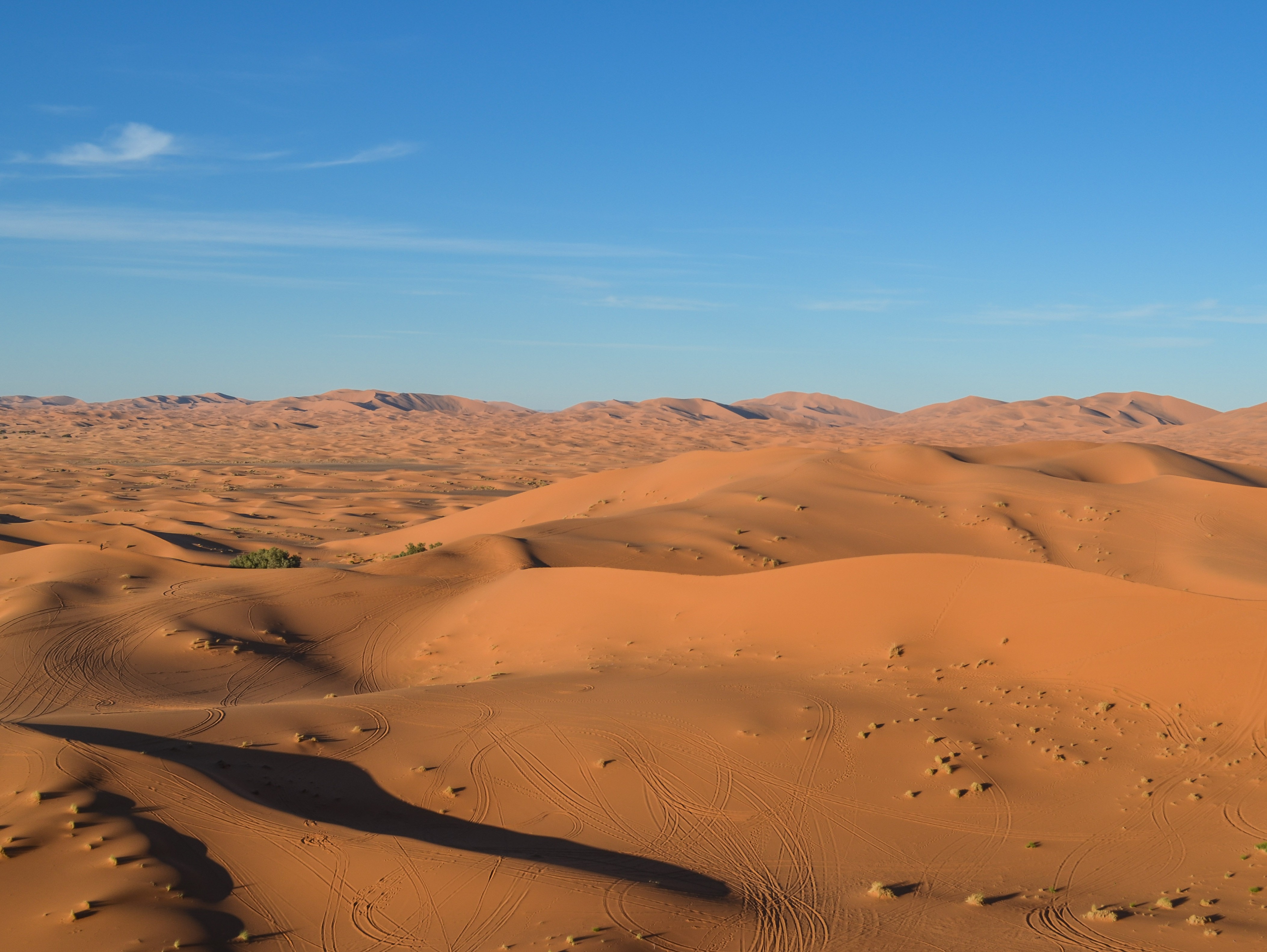 Parshat Bamidbar: Desert Prose