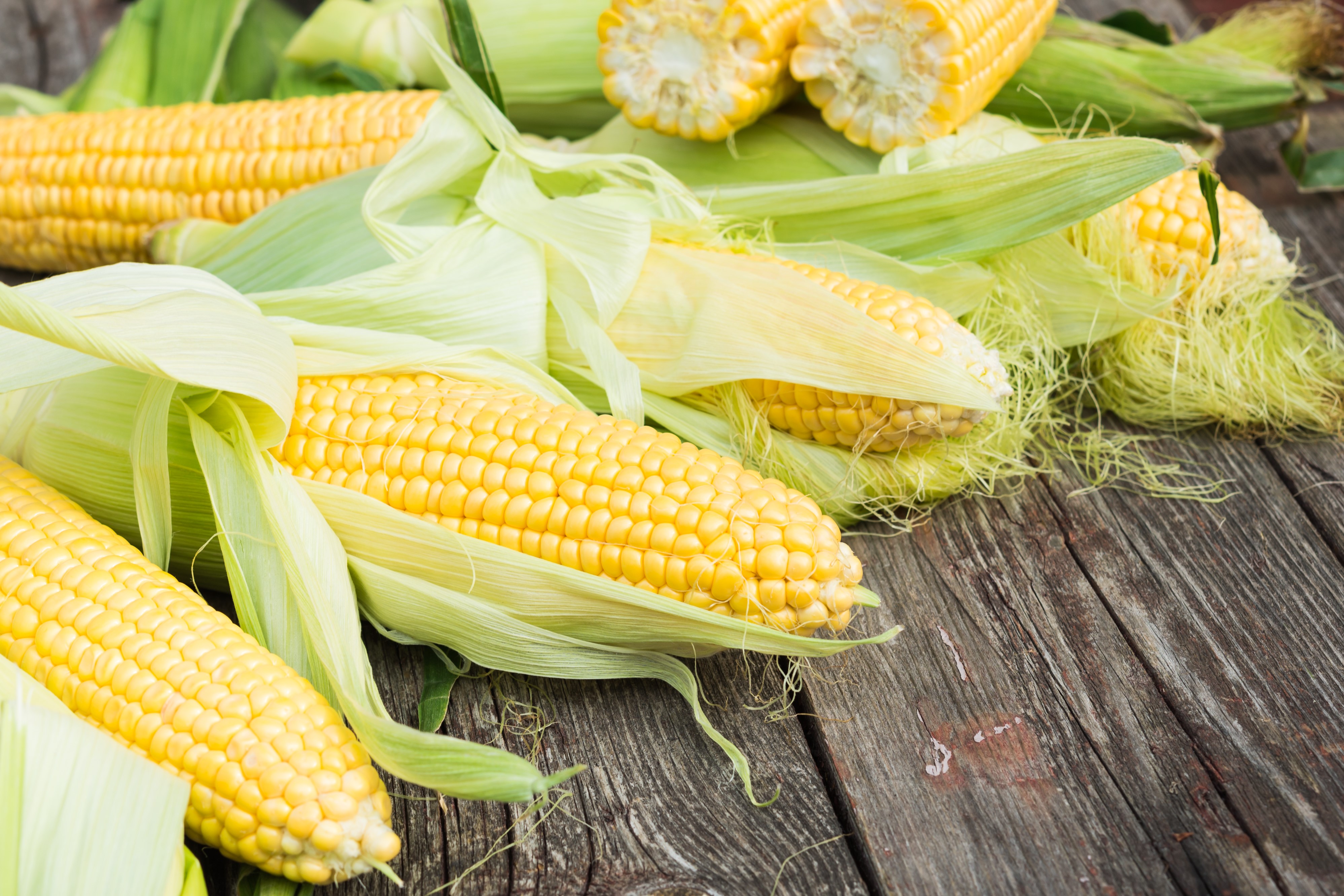 Kitniyot Conundrums Jewish Holidays