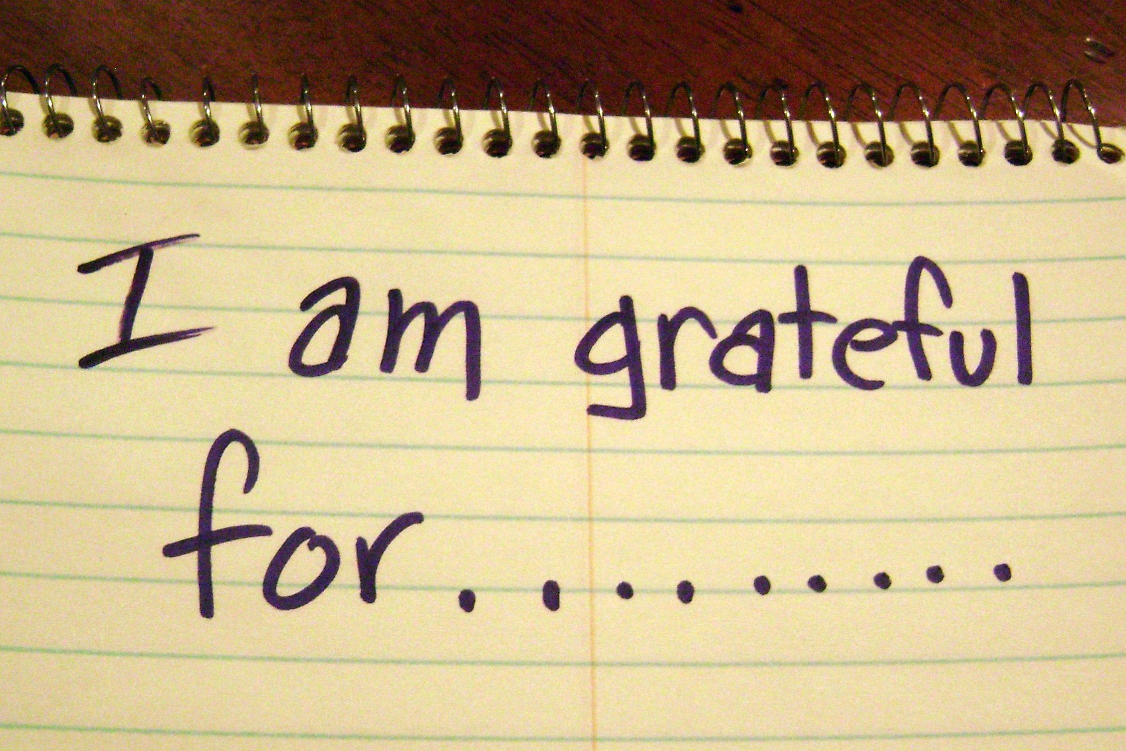 Gratitude and Simchat Torah