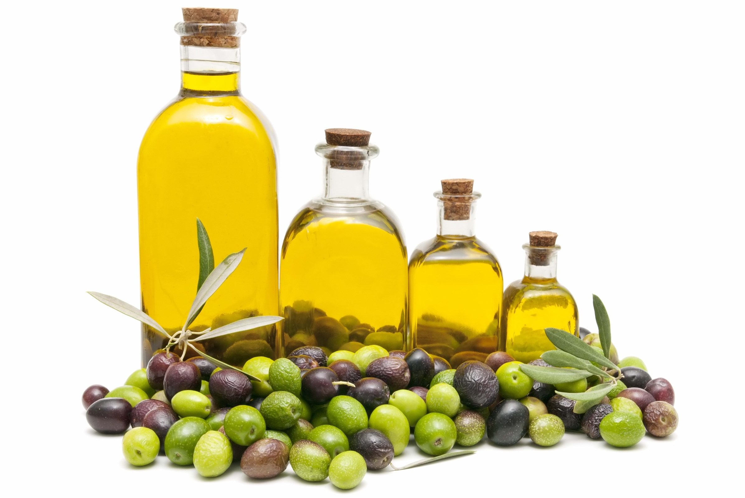 The Enlightening Olive