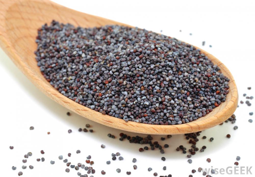 Purim: The Poppy Seed Connection