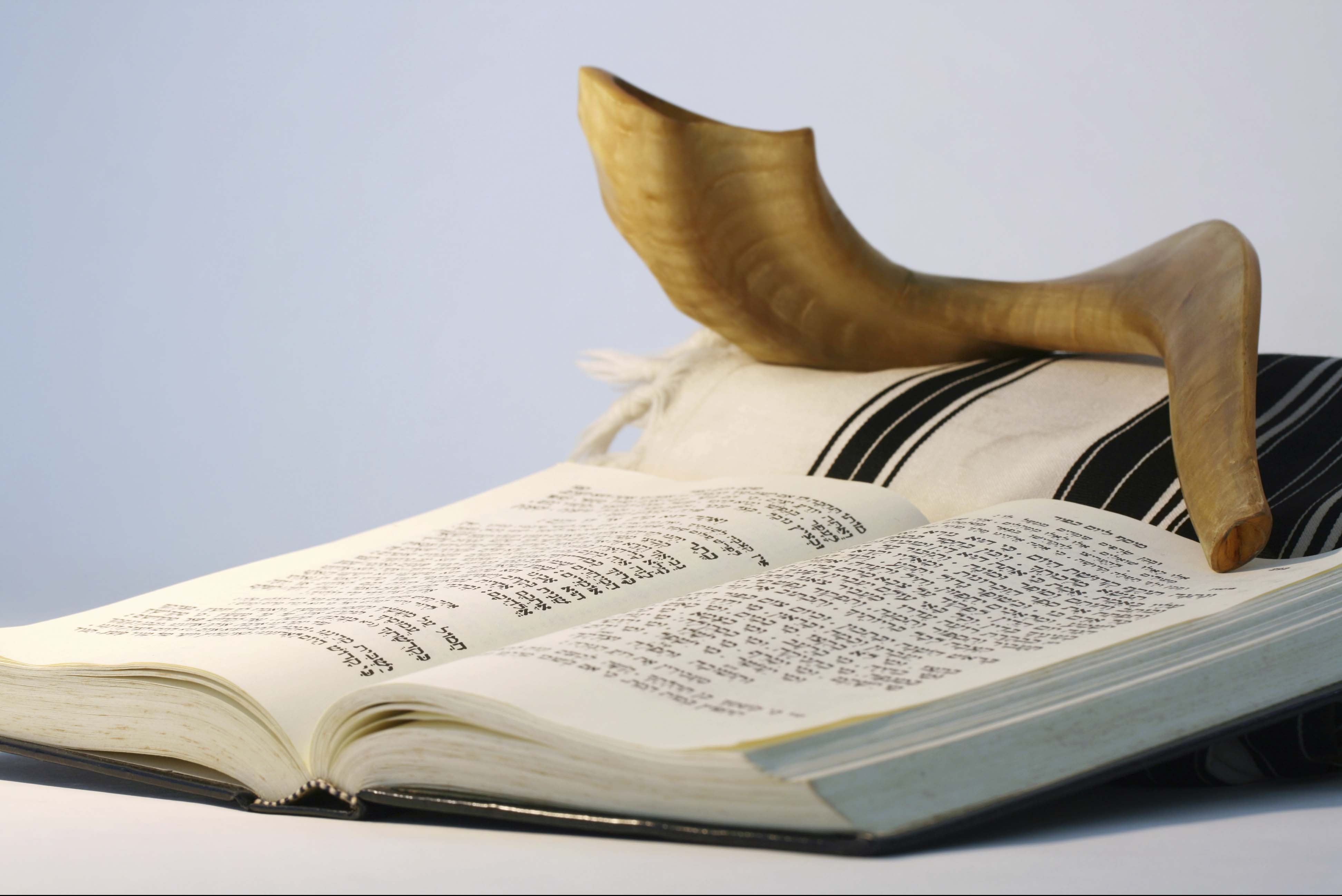 The Shofar: A Mother’s Cry