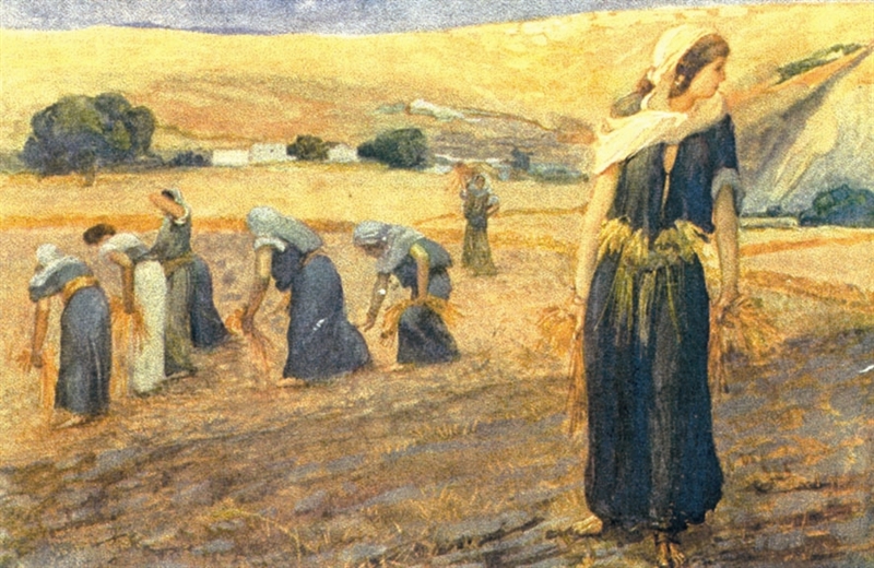 The Story of Ruth Jewish Holidays