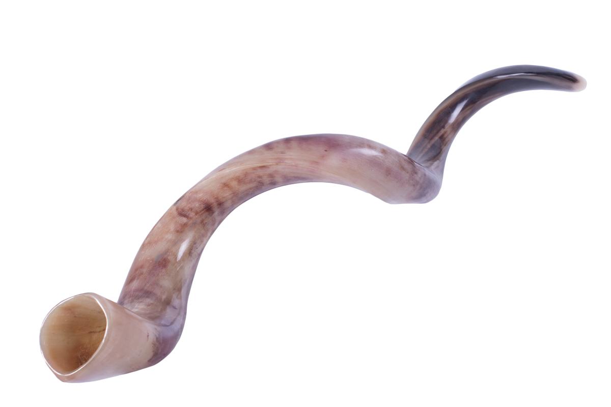 The Shofar – From Frustration to Fulfillment