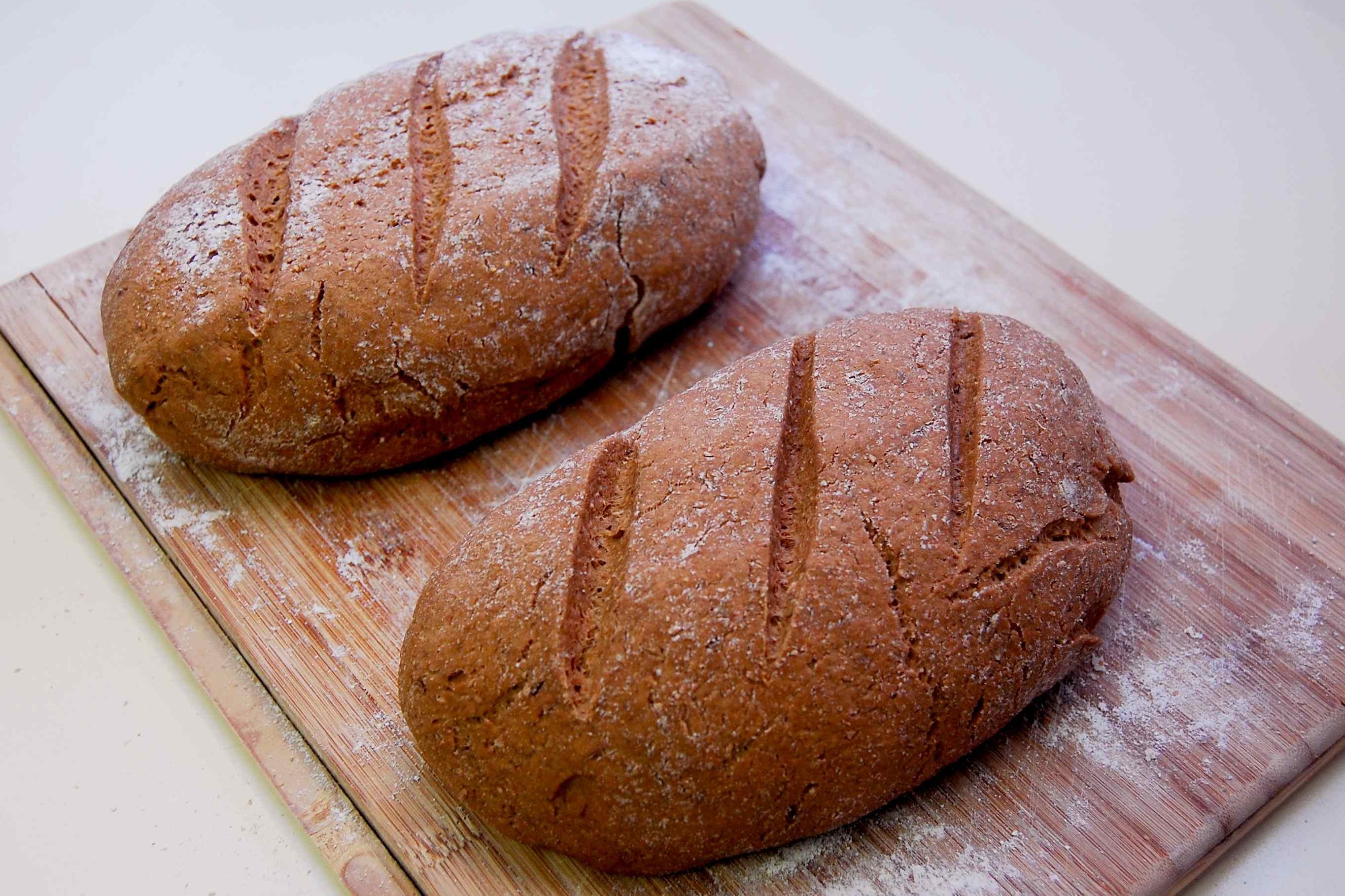 The Etz Hachaim Within Us – 5770