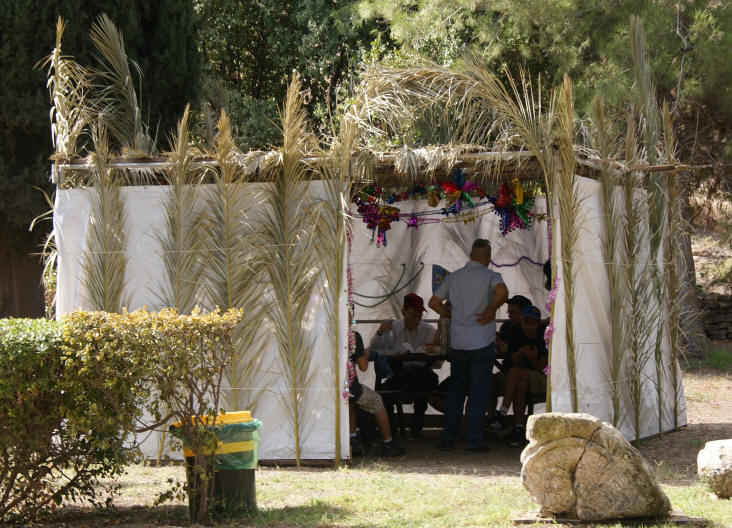 Sukkot: An Agricultural or Historic Holiday?