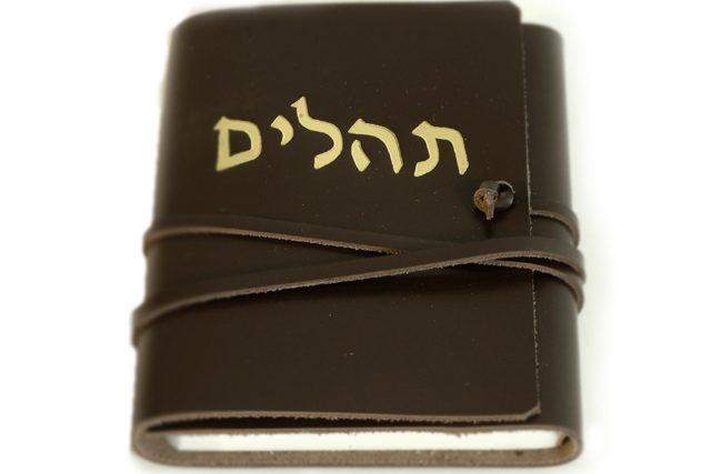 Mizmor Shir Chanukat: Translation & Explanation of Psalm 30