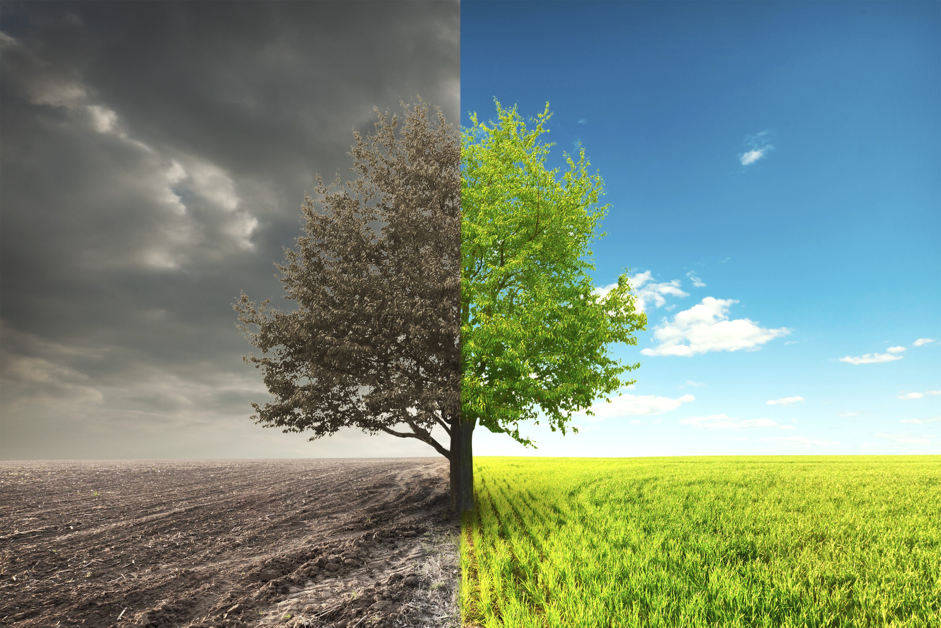 Chanukah and Vayeshev: Hod and Hadar