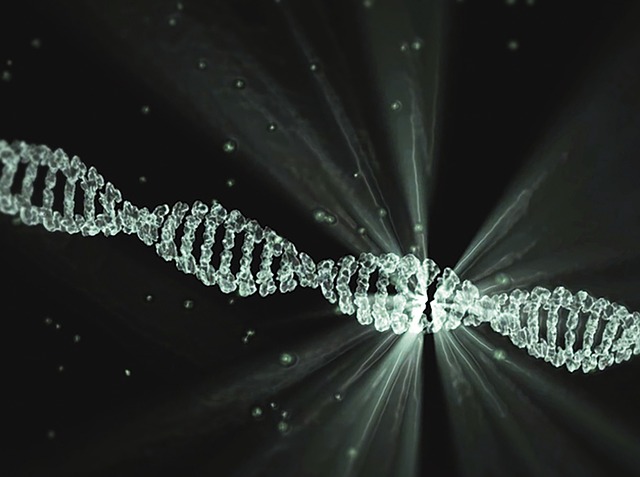 The Transformation of the Spiritual DNA of Adar