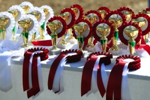 Close-up of golden trophy and ribbons for equestrian winners
