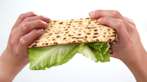 Comprehending “Charoset”