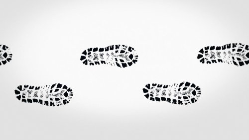 Light Until the Foot of the Tarmudai Vanishes: The Saga of Palmyra