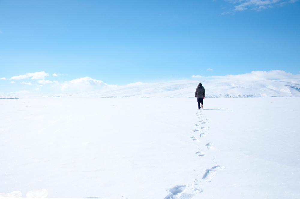 Kislev: Finding Life Amidst the Dead of Winter