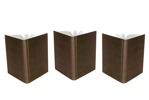 Rav Yosef Engel Revolutionizes the Three Books of Rosh Hashana