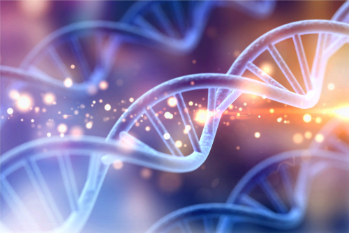 The Transformation of the Spiritual DNA of Adar