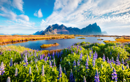 Nisan: Every Day Spectacular