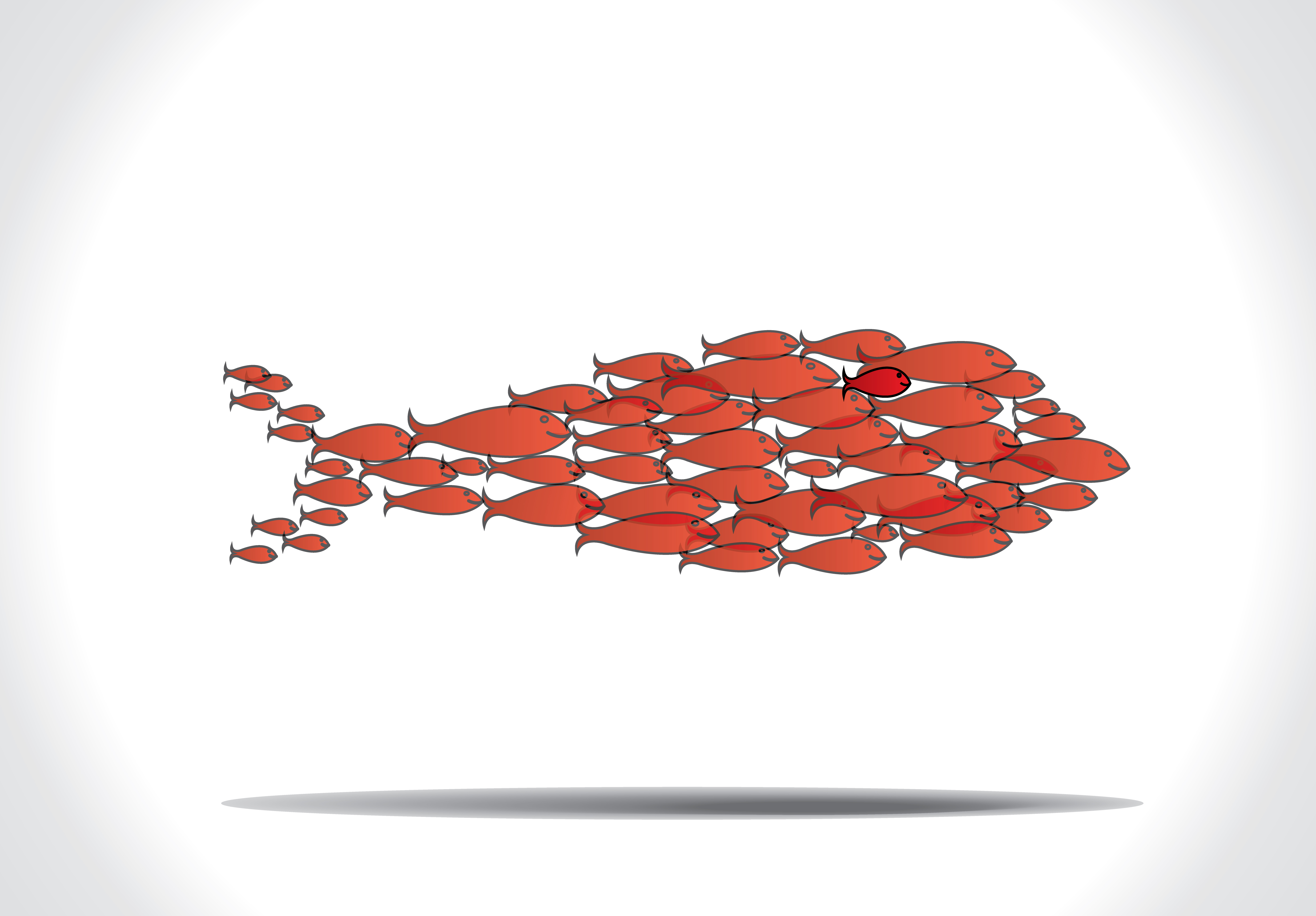 Can We Really Multiply Like Fish?