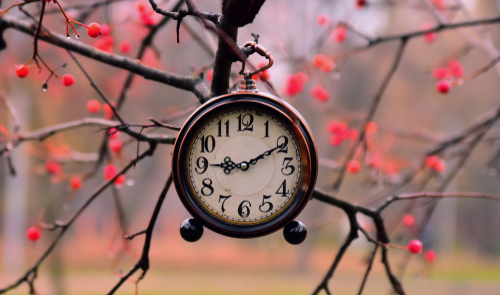 Is the Time For Birchas Ha’Ilanos Running Out?