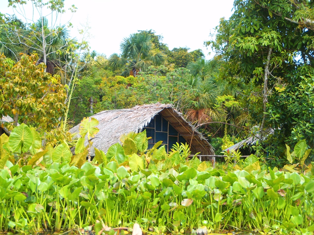 Sukkos: Finding Refuge in Ourselves