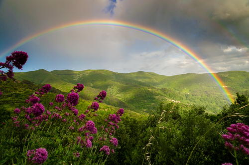 The Rama’s Incredible Explanation for the Miracle of a Rainbow