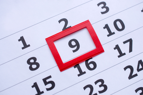 Esther’s Yahrtzeit – The Astounding Revelation of the Rama About 9 Teves