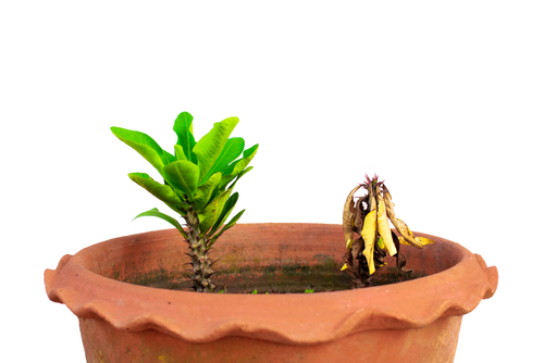 For the Living and the Dead – Part 2