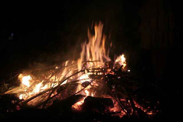 Five Facts about Lag Ba’Omer by the “Zoo Rabbi”