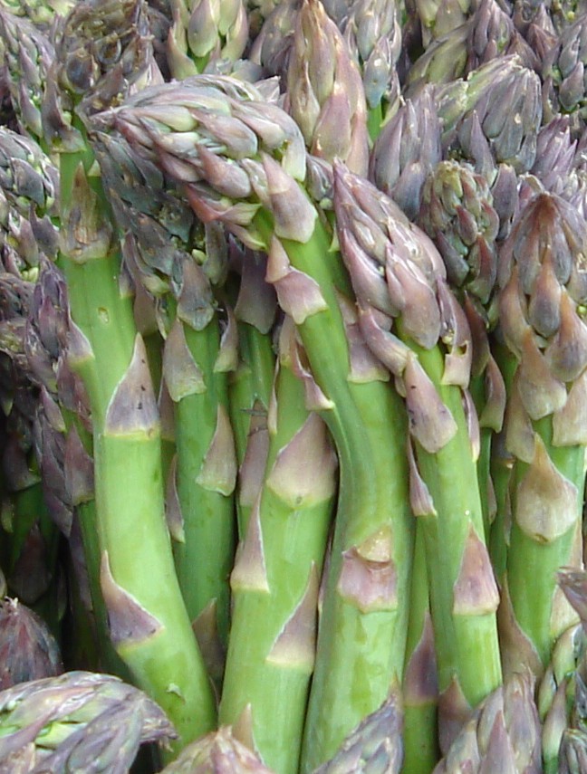 Make Ahead Meals for Rosh Hashana