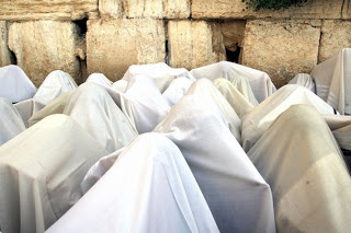 Pulling the Wool Over Her Eyes