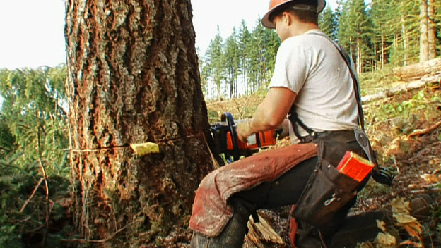 Bereishit: The Rest of Shabbat