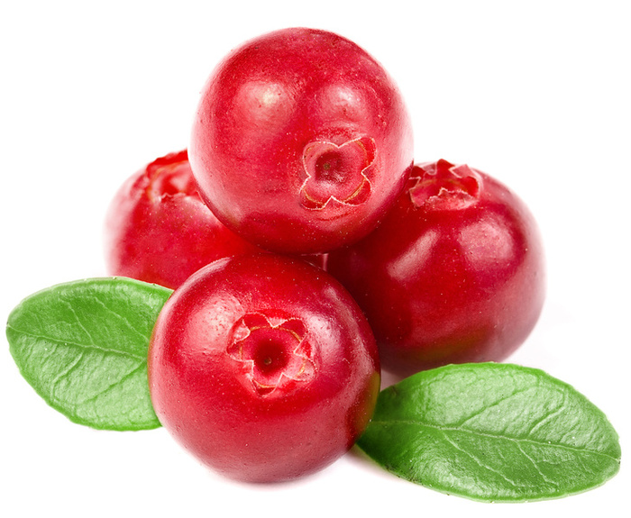 Cranberry Recipes