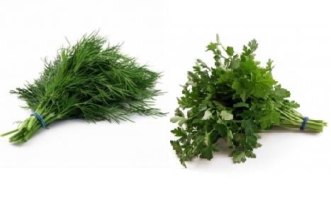 Storing Fresh Dill and Fresh Parsley