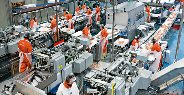 A Funny Thing Happened on the Way to the Plant (Part 1)