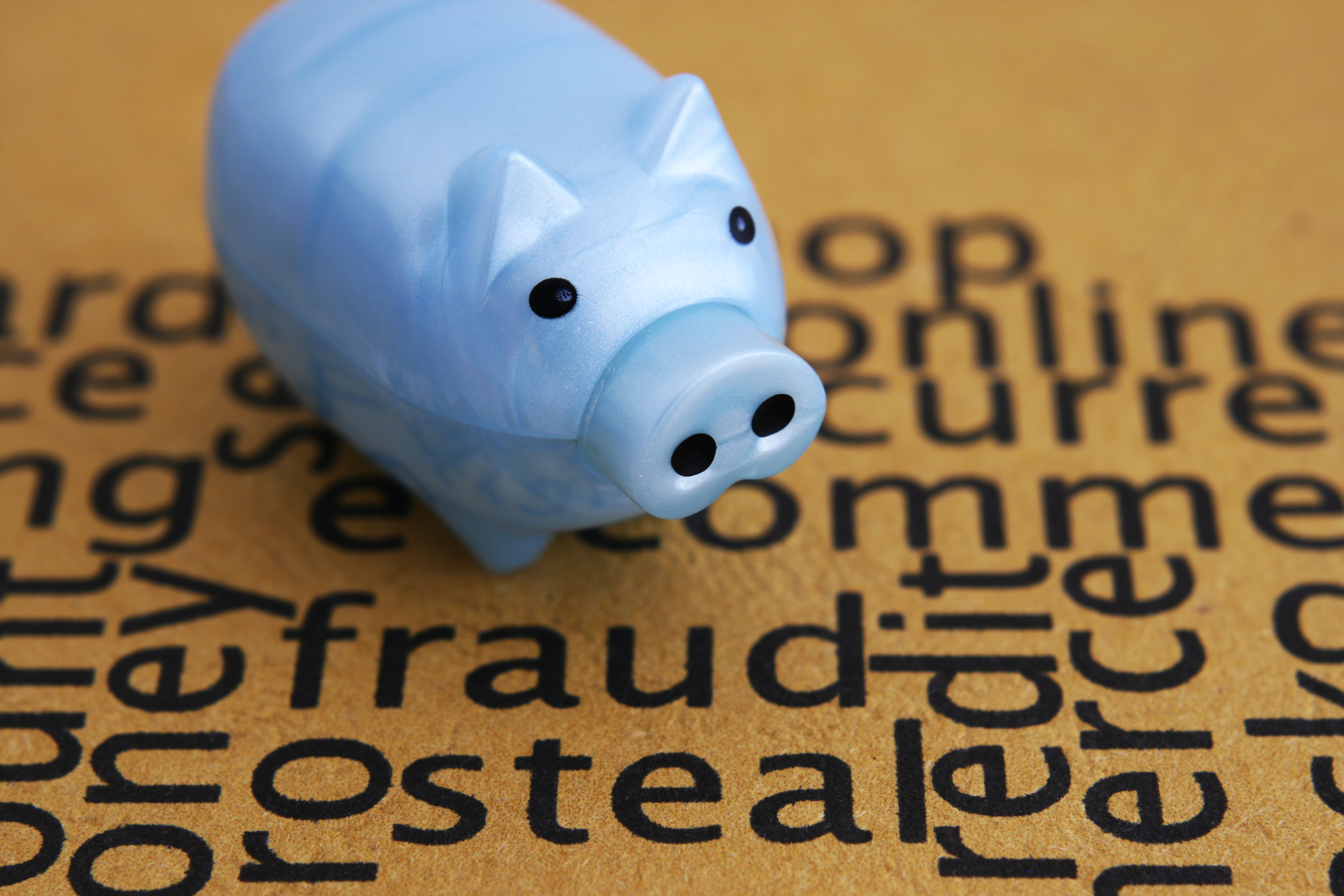 Uncovering One of the Greatest Frauds of All Time – And the Selflessness Next-Door